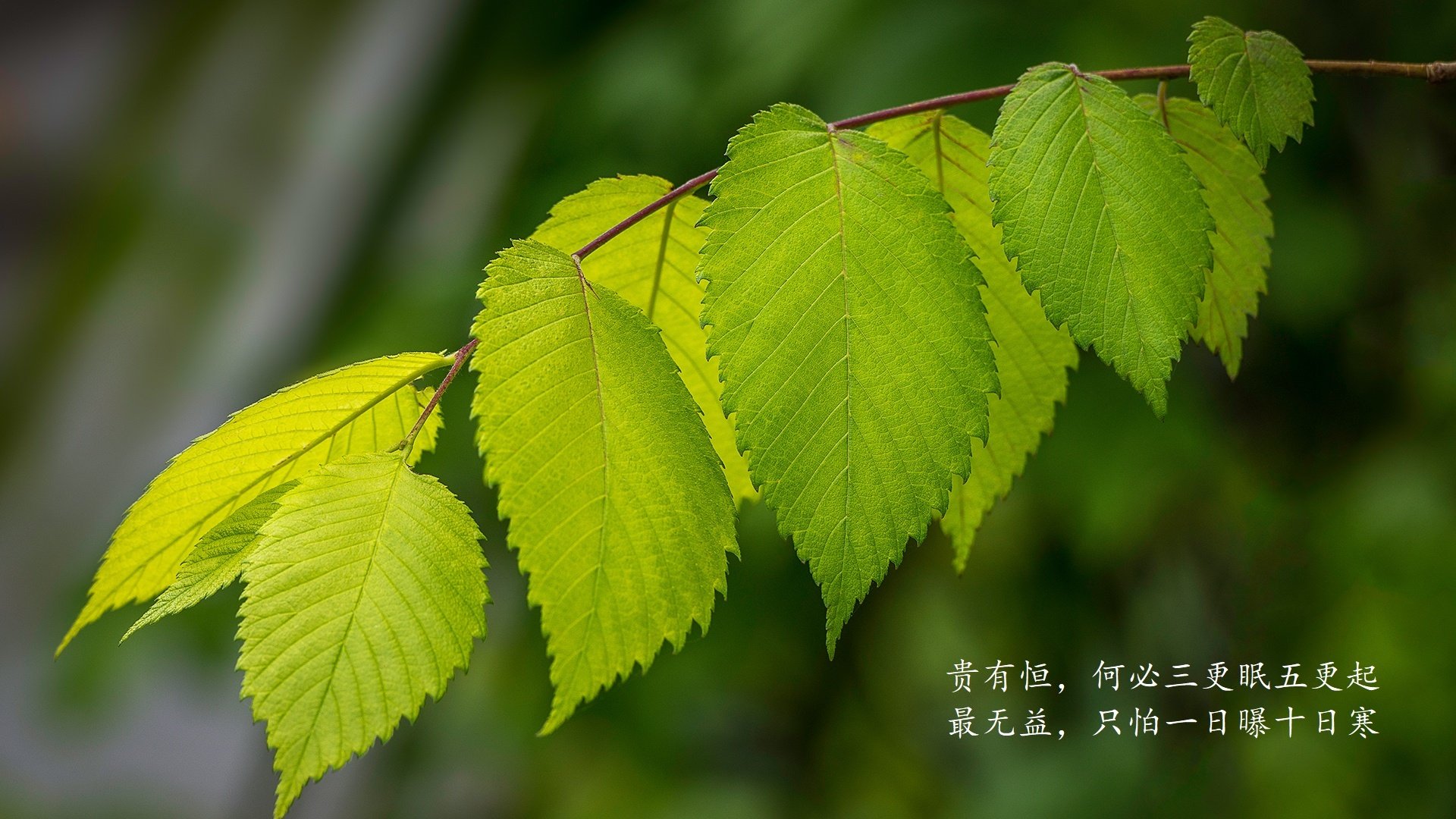 化工产品价格走势图分析表（化工产品市场价）